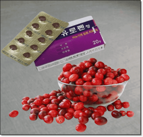 간질성 방광염에 좋은 음식