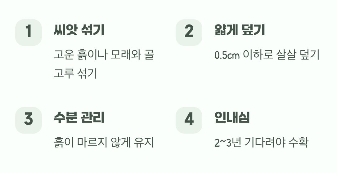 씨앗 뿌리기와 기다림의 미학