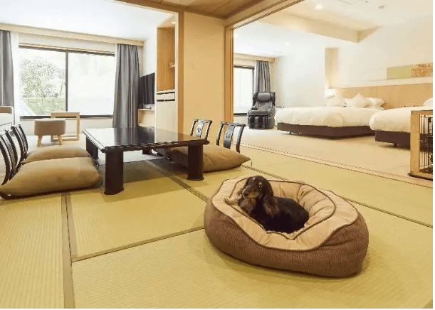 겨울 일본 온천 여행지 ; 온천 료칸 가족&amp;#44; 연인 여행지(Best 5) 하코네&amp;#44; 노보리베츠&amp;#44; 기노사키&amp;#44; 나고야&amp;#44; 이즈