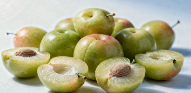 위염에 좋은 음식