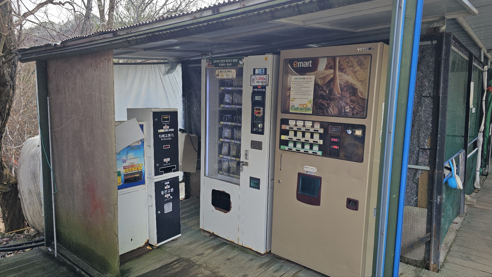 [24.11월] 아이와 평창 #1 - 모나 용평리조트 애니포레🏔️