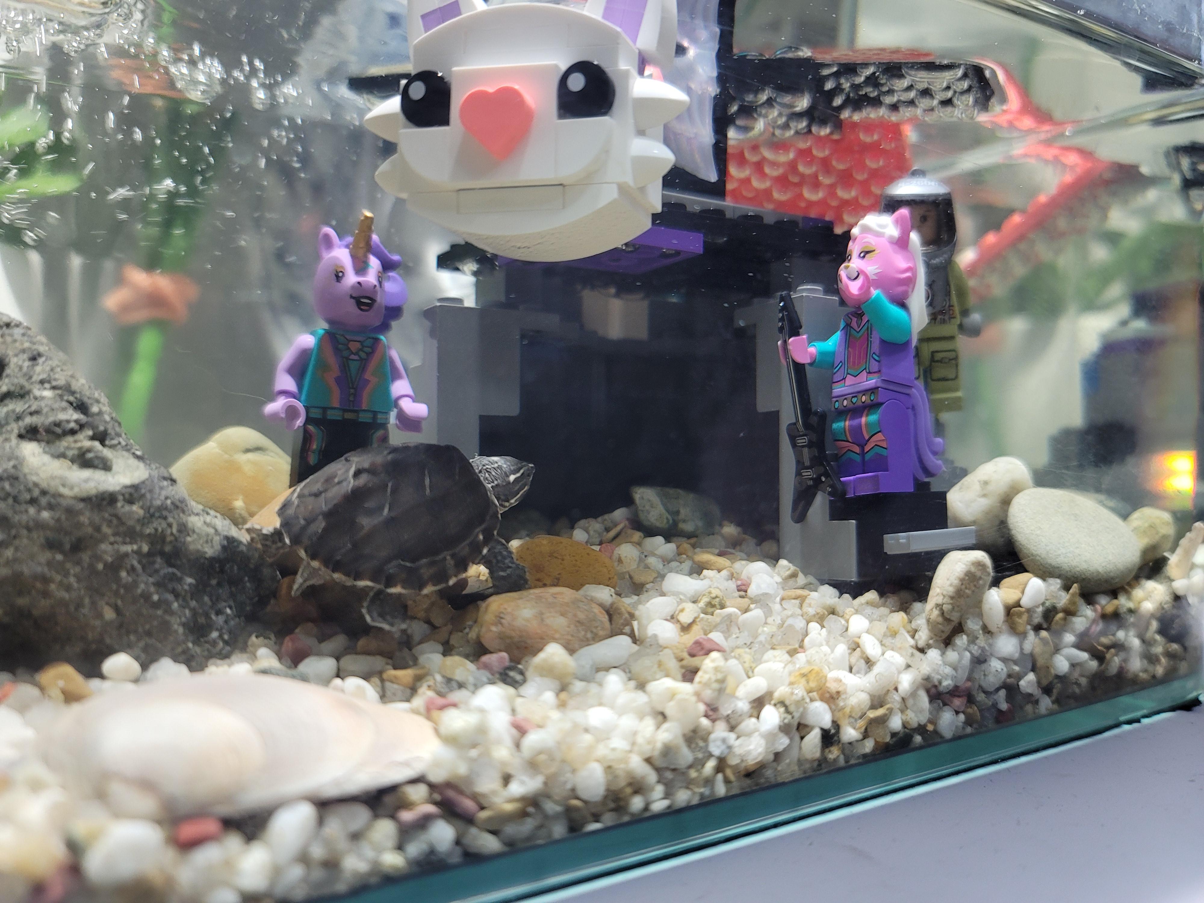 레고를 가지고 만든 거북이 집