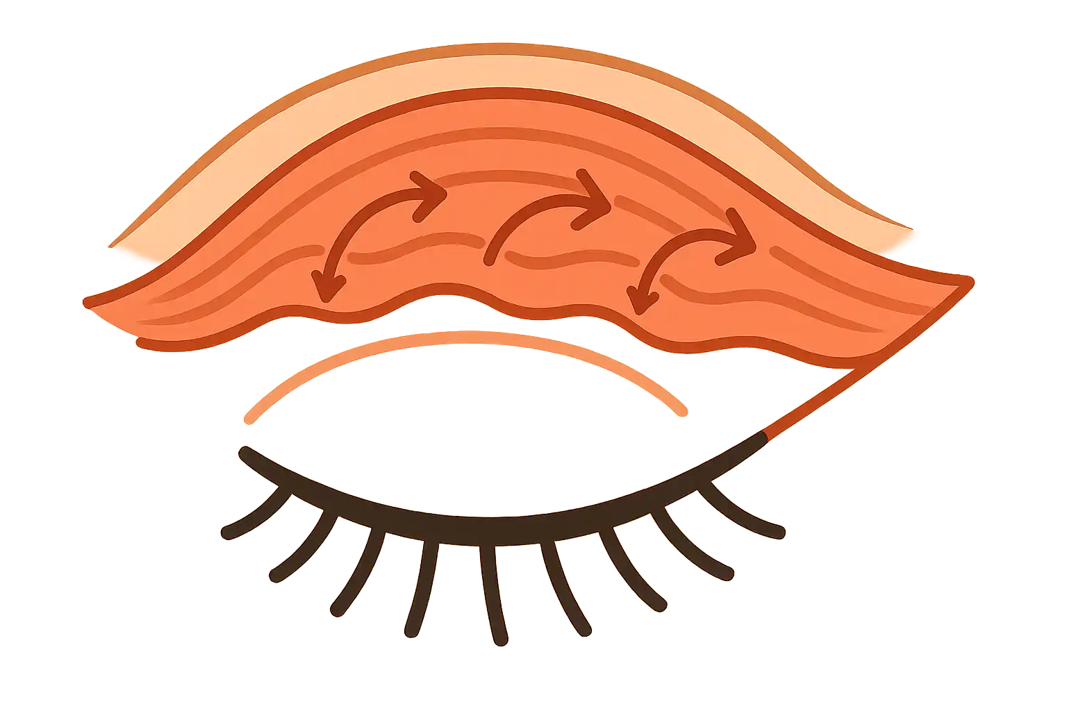 눈꺼풀 근육이 반복적으로 수축하는 모습을 단순화한 인포그래픽