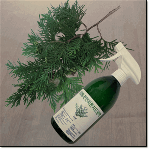 천연 피톤치드 편백수