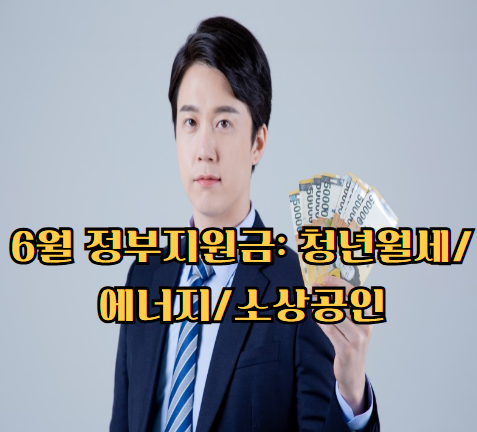 6월 정부지원금