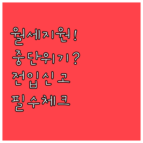 청년 월세 지원 혜택 유지하기 위한 ..