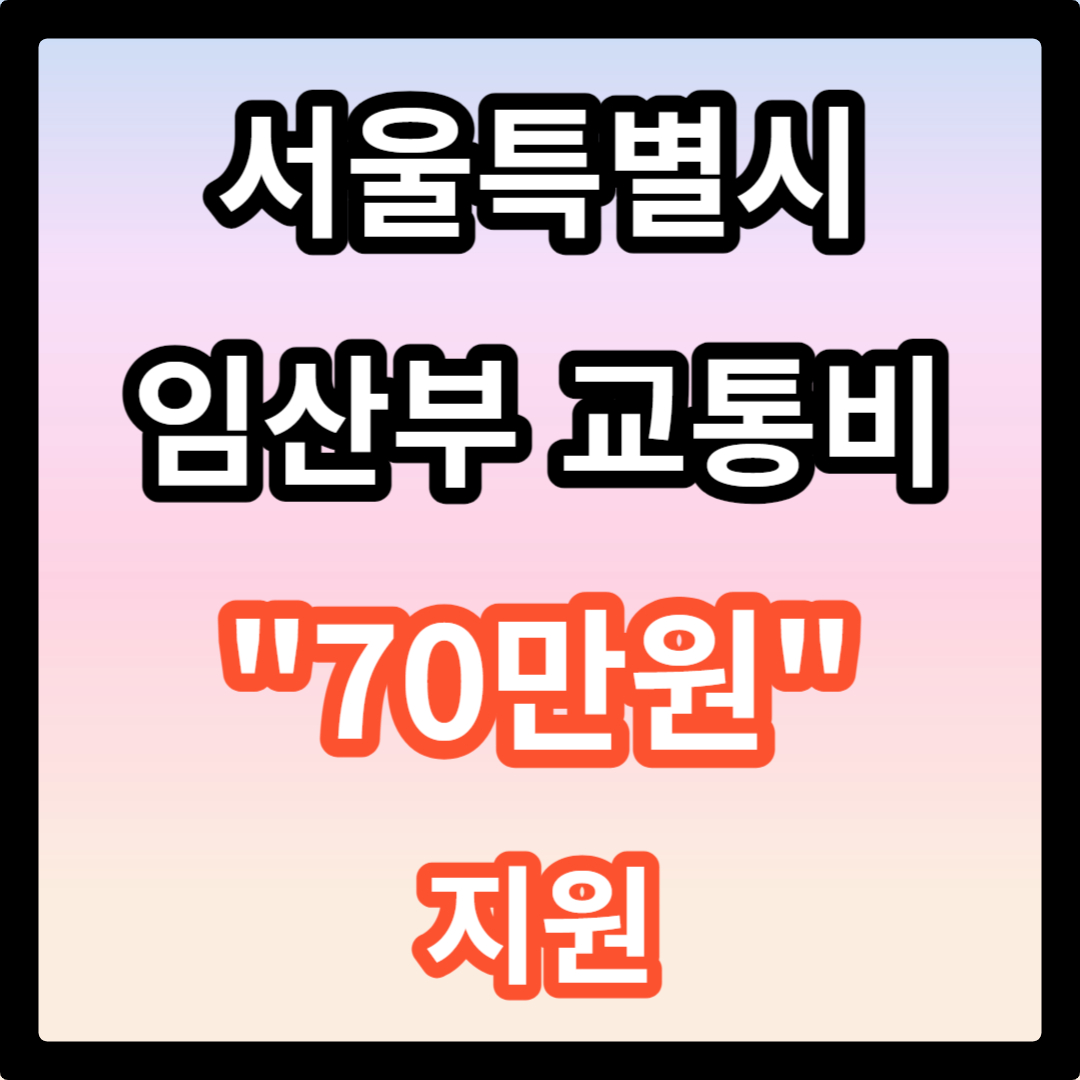 서울시 임산부 교통비 지원 신청방법