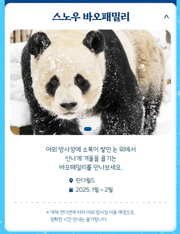 윈터토피아 위드 무민 이용권 할인 예매 방법