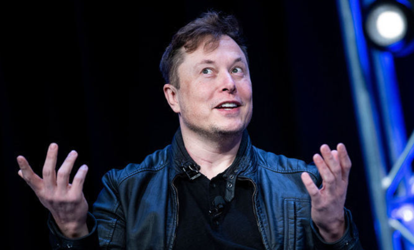 일론머스크-세금-규모-사진