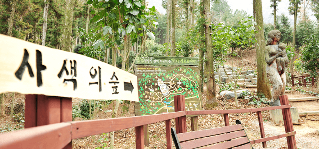 치유의 숲