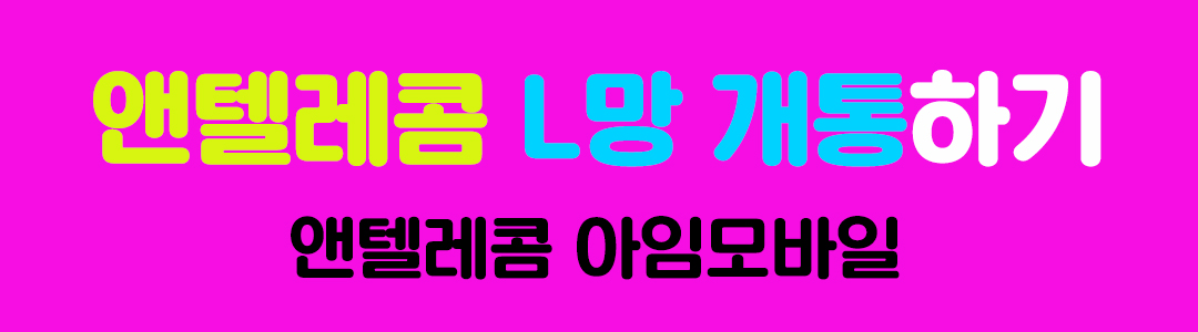 앤텔레콤 셀프개통 L망