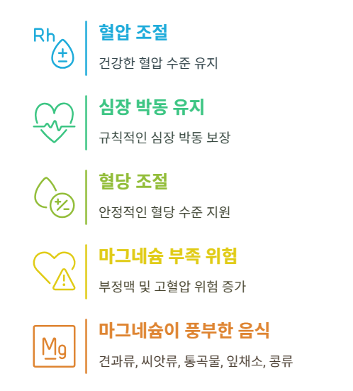 심혈관 건강을 위한 마그네슘의 역할