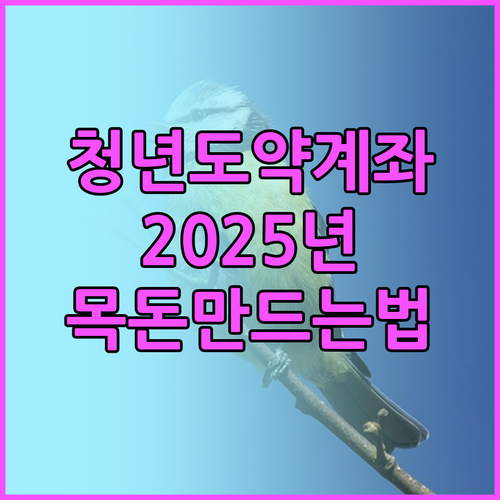 청년도약계좌 2025년: 5년 안에