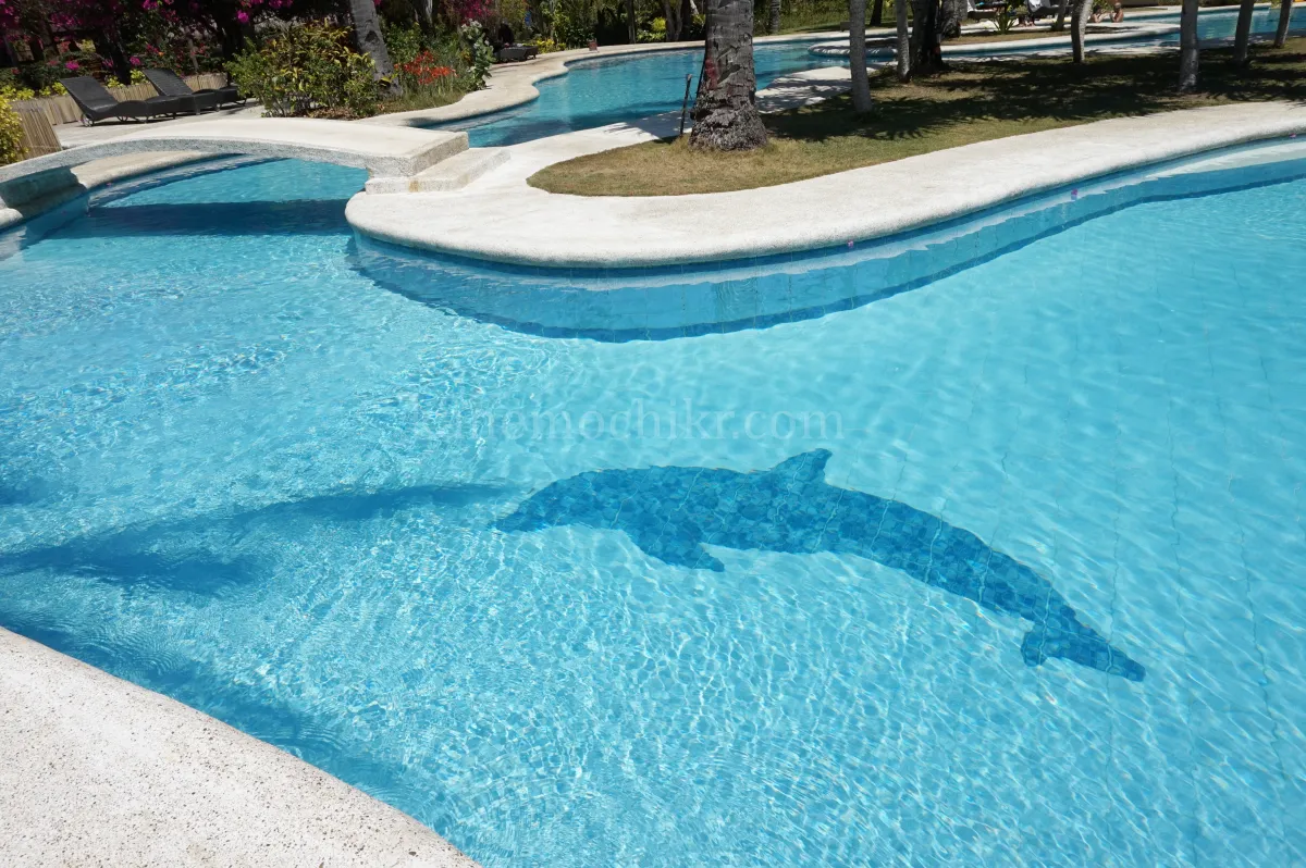 도스팔마스-수영장