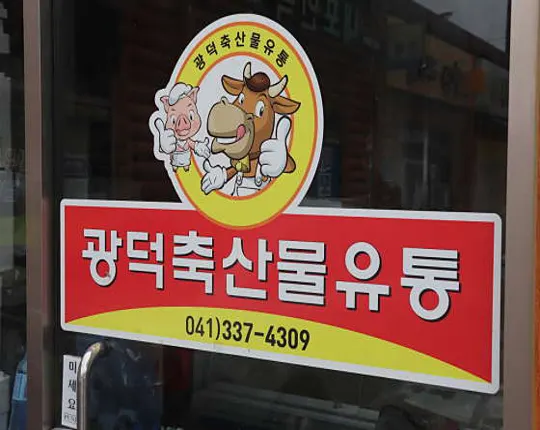 큰나무두리