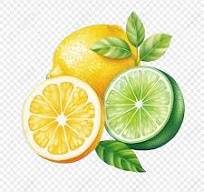 비타민 C의 효과는 무엇인가.