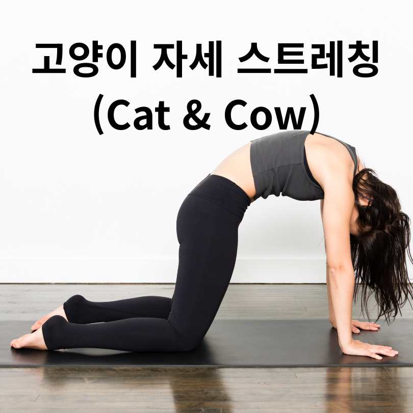 요통 원인과 요통 스트레칭 효과