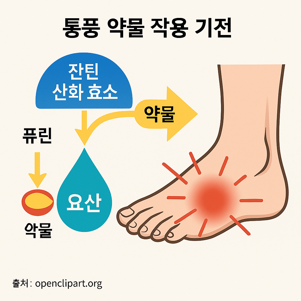 약물기전