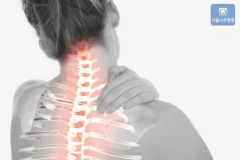 직업별 수호성인 완전정리: 나의 일터에도 성인이_14