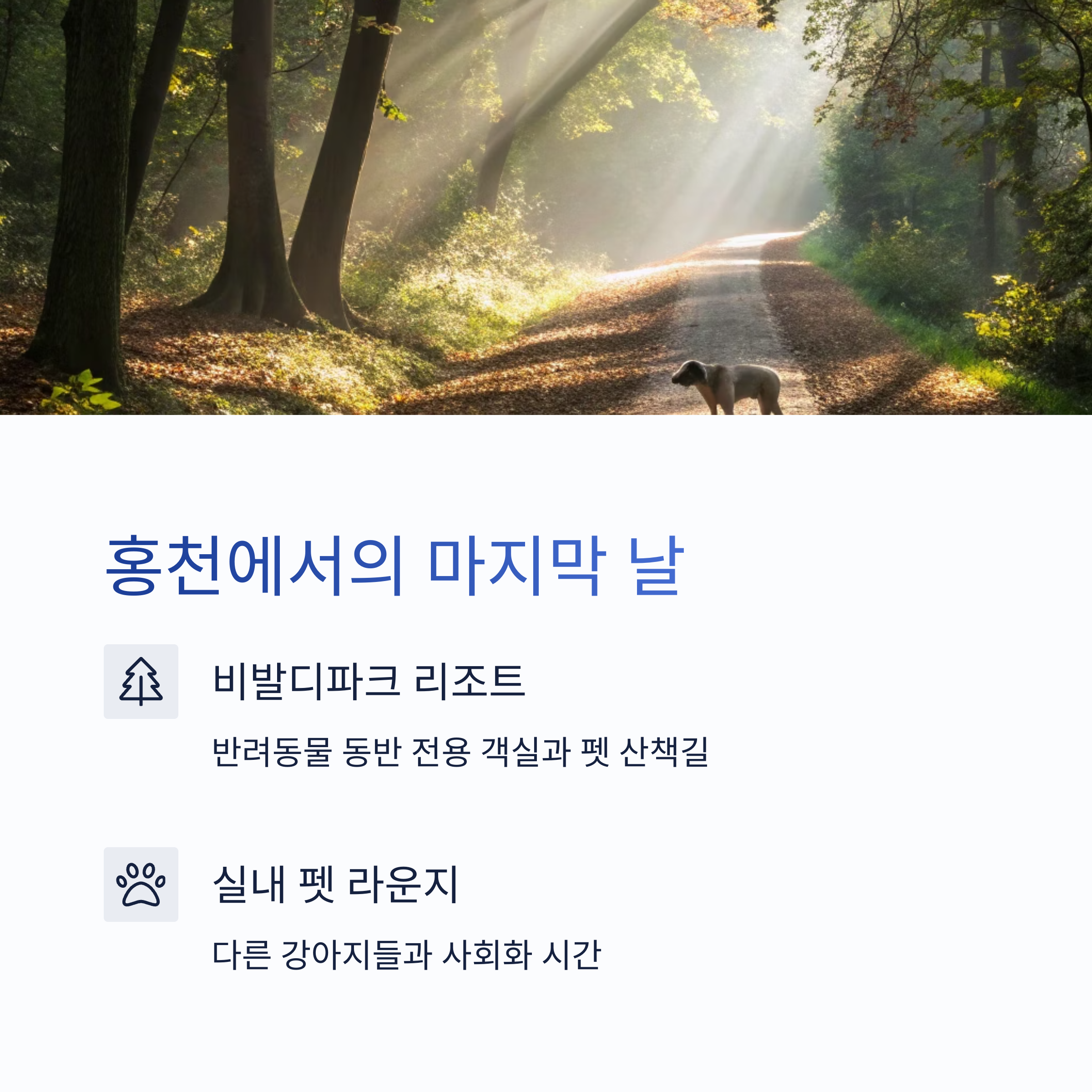 비발디 파크