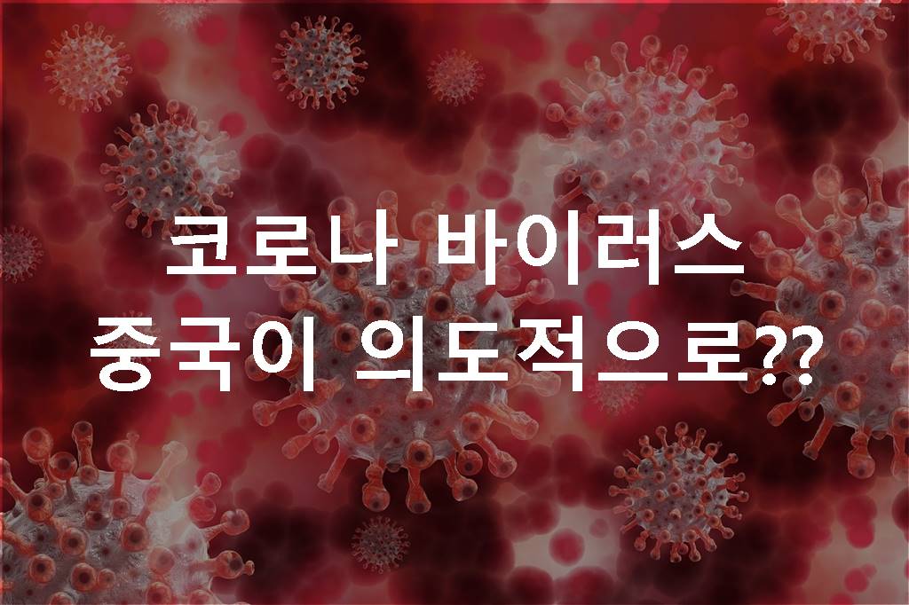 코로나 음모로