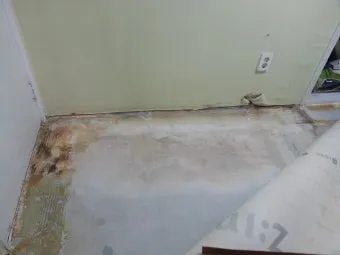 곰팡이 냄새 빨래통 환기와 햇빛 건조 베이킹소다 뿌리기_20