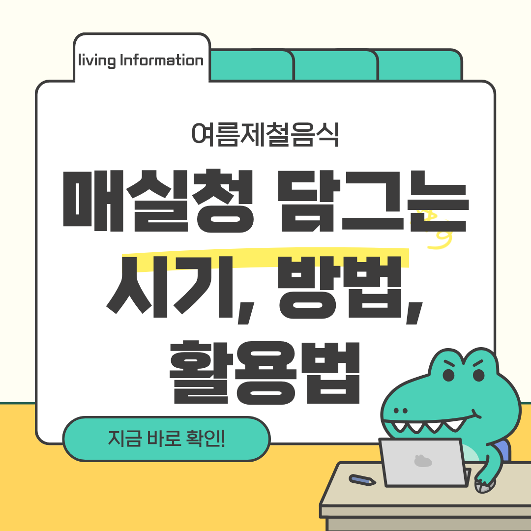 매실청 담그는 시기 담그는 방법 먹는 방법 활용법