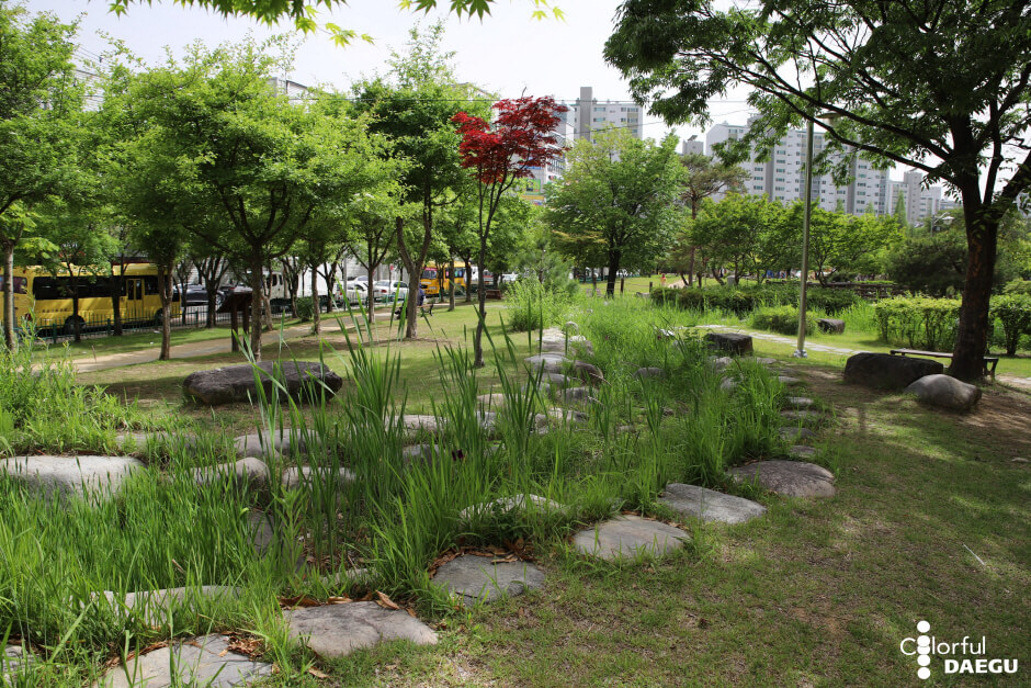 대구 가볼만한 단풍 여행은 어디일까? 대구 단풍 여행 총정리!