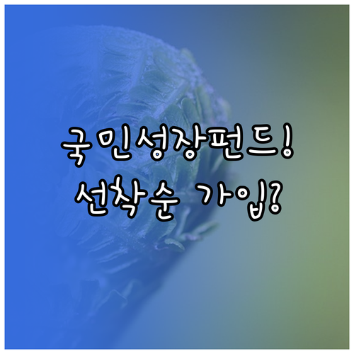 국민성장펀드 6월 출시 예정 가입 자..
