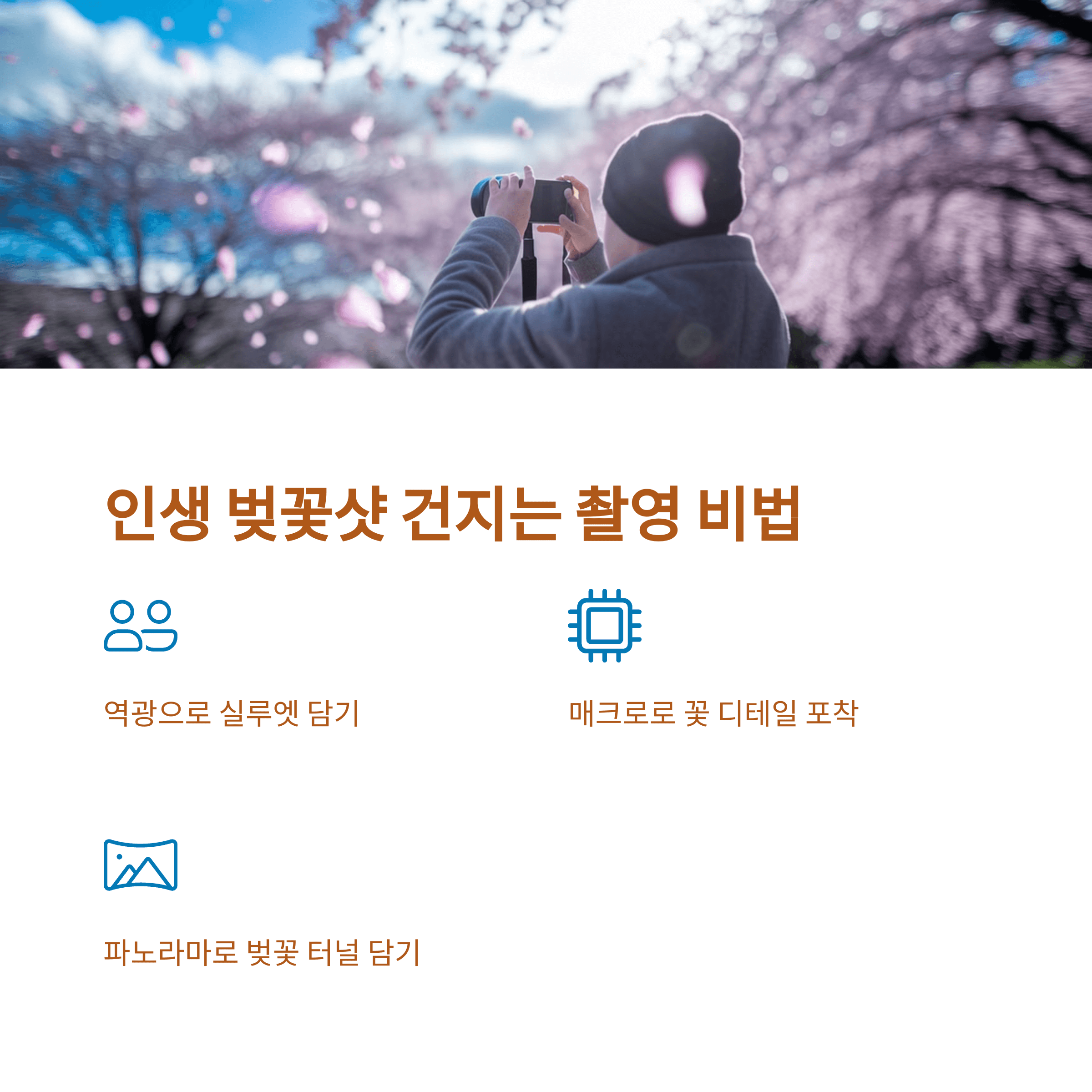 2025 봄 꽃 개화