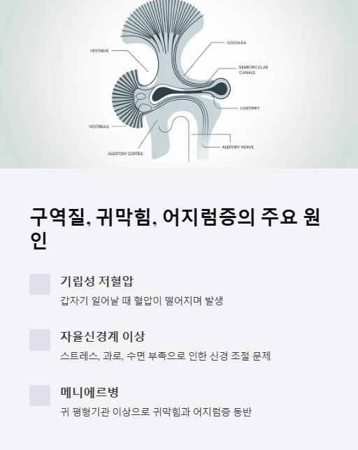 구역질 귀막힘 어지럼증의 주요 원인