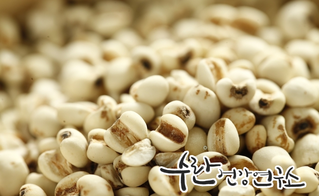 경옥고 효능 가격 광동경옥고