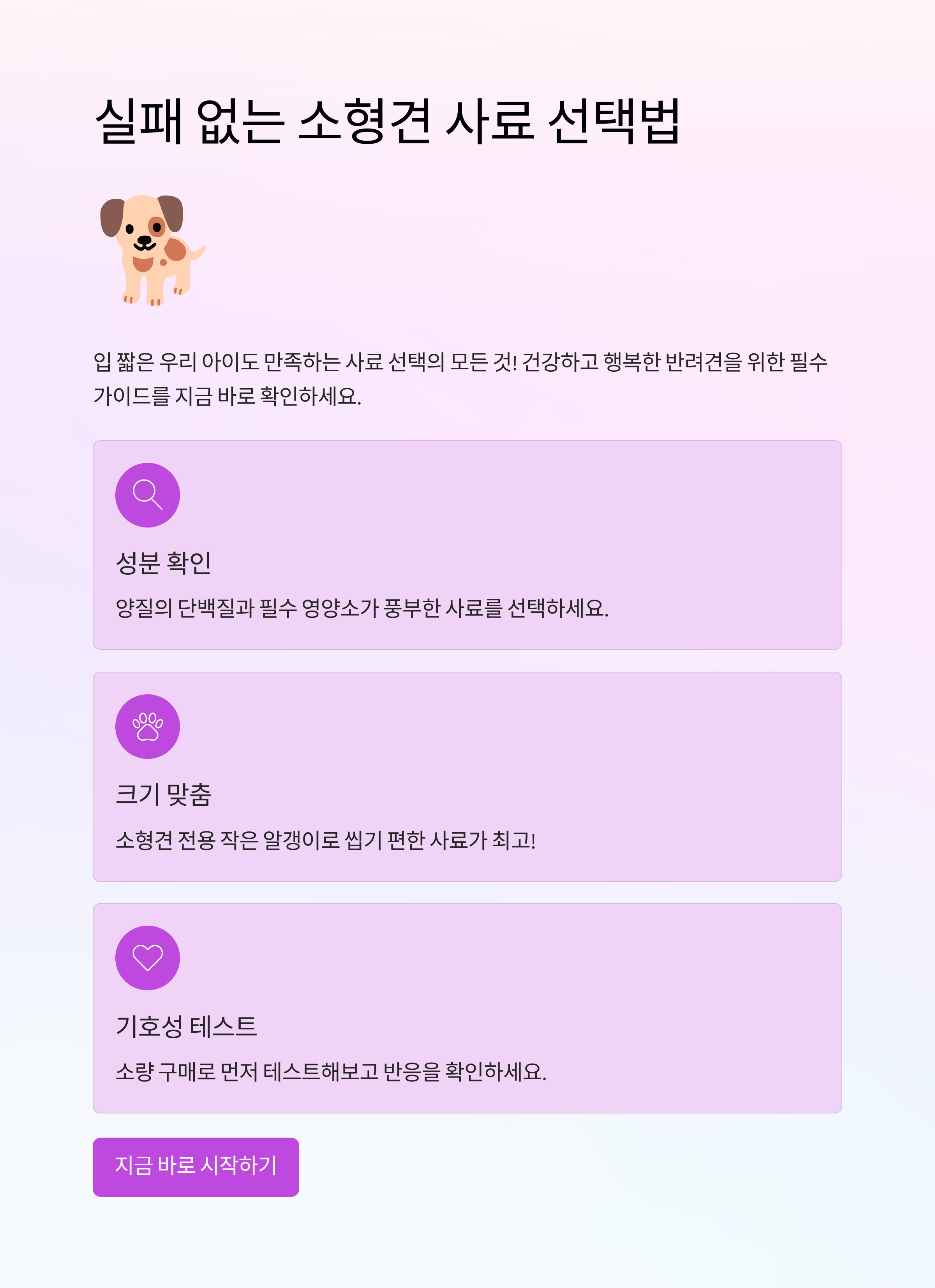 실패 없는 소형견 사료 선택법! 입 짧은 아이도 만족하는 비결