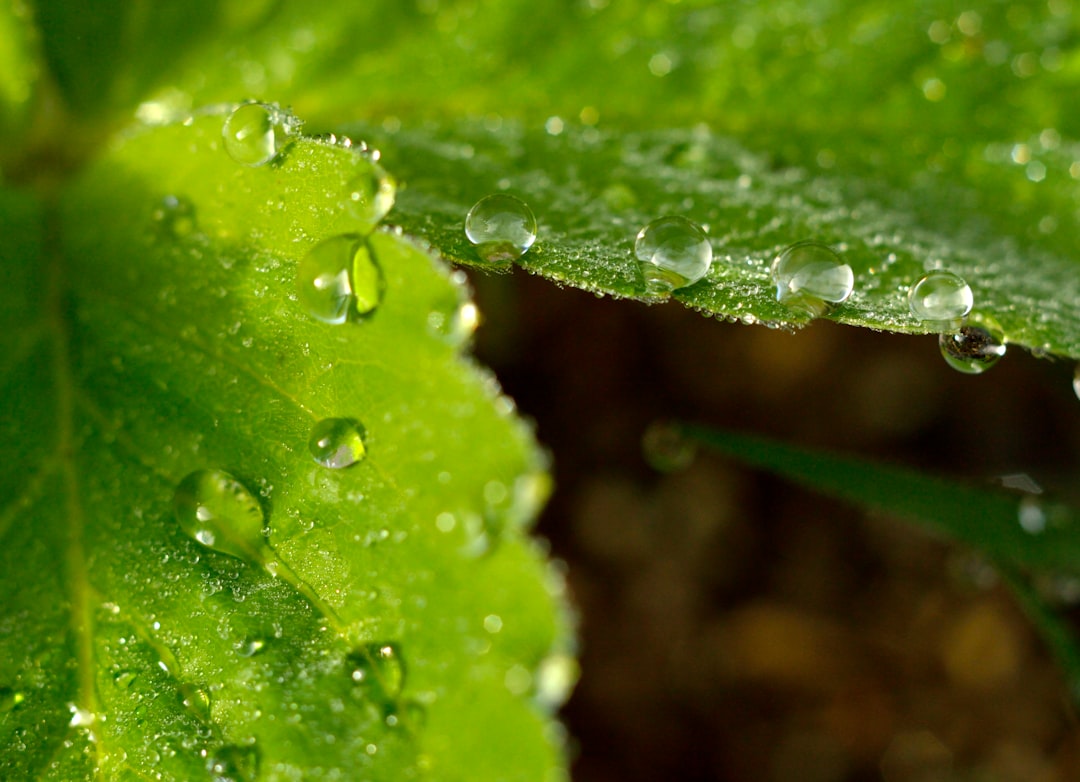 Moisture