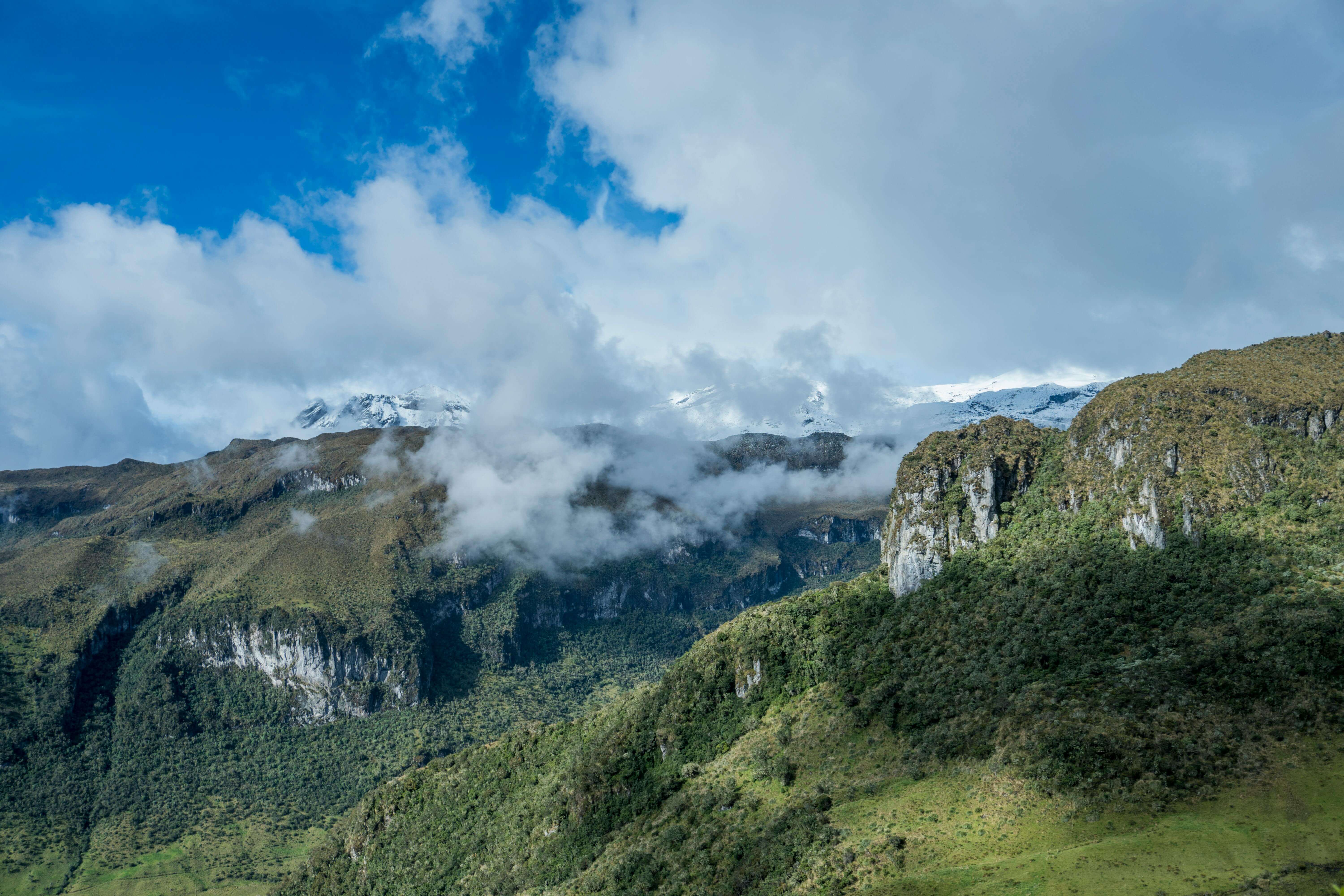 토지보상법 수목보상