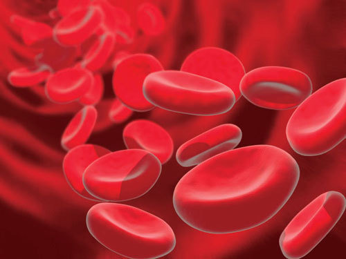 혈관 건강에 좋은 식품 5가지