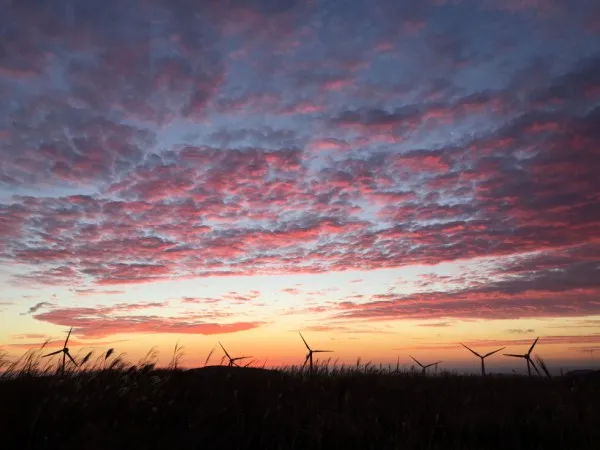 제주도-겨울-여행-코스-추천-유채꽃프라자-노을지는-하늘
