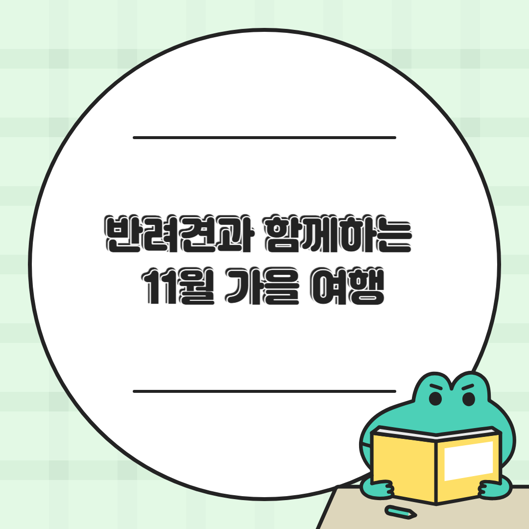 🐾 반려견과 함께하는 11월 가을 여행 시리즈 🍁