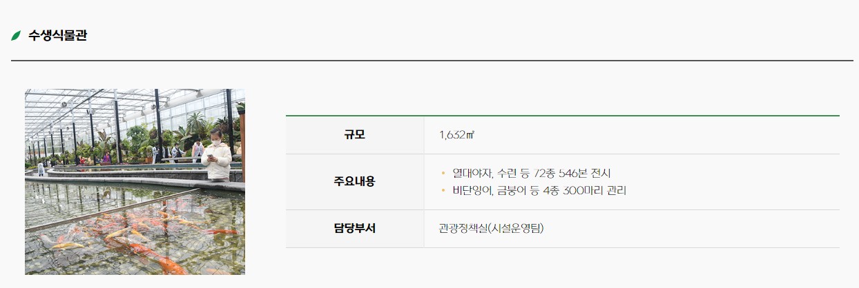 함평-나비축제
