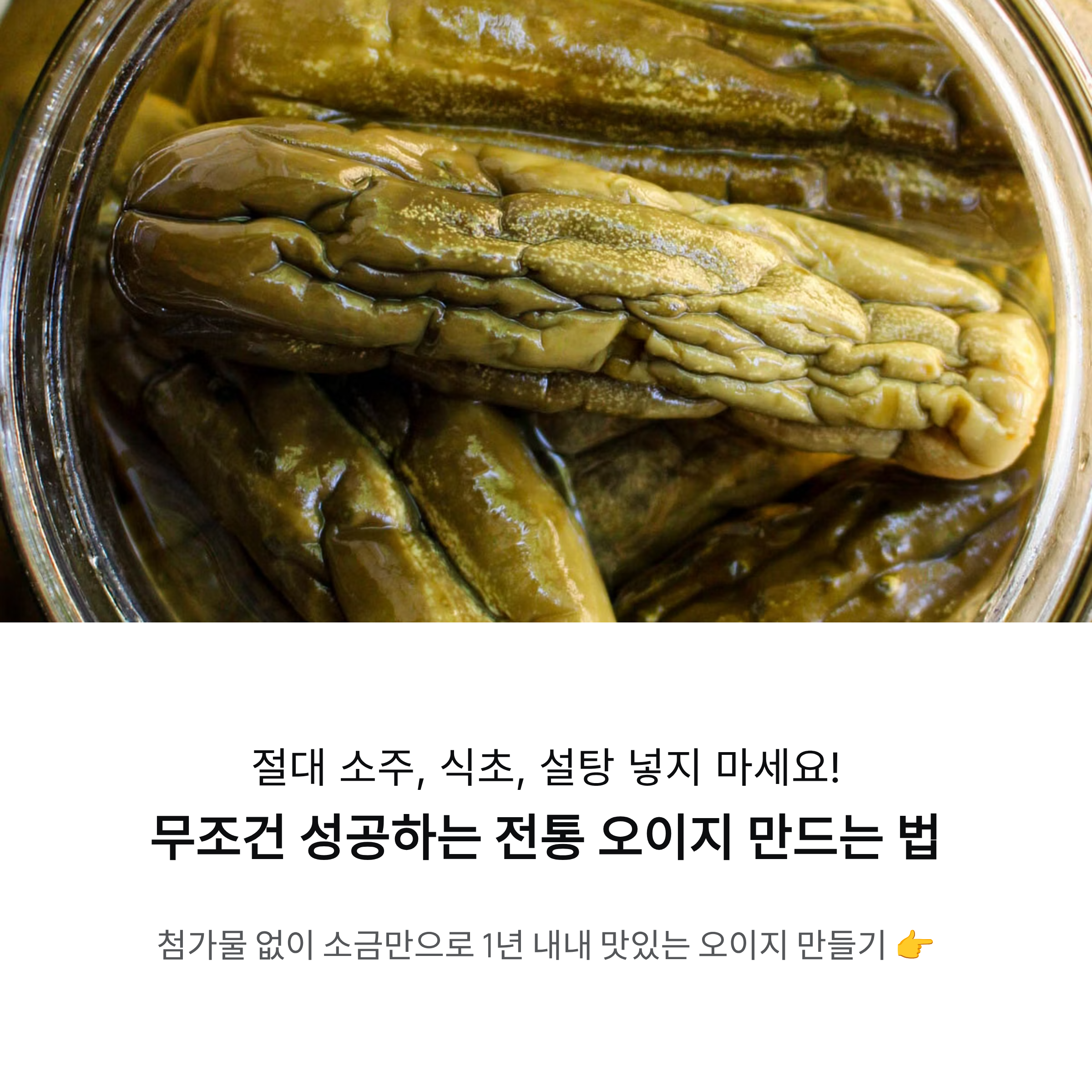 절대 소주, 식초, 설탕 넣지 마세요! 무조건 성공하는 전통 오이지 만드는 법