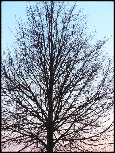 시험기간 잘 보내는 학생 vs 못 보내는 학생 (습관, 계획성, 태도)