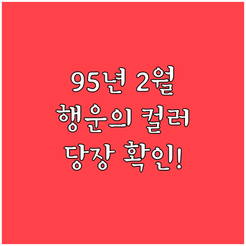1995년생 2월 행운의 색상 숫자 ..