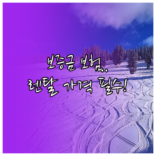 스키장 렌탈 장비 가격 구조 보증금 ..