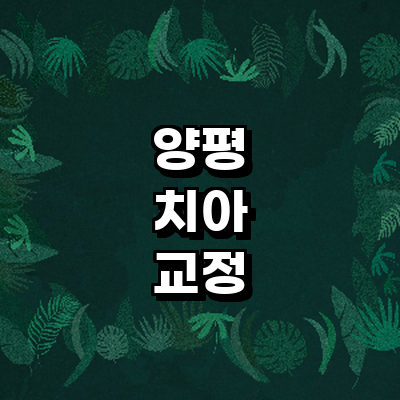 양평군 교정 치과