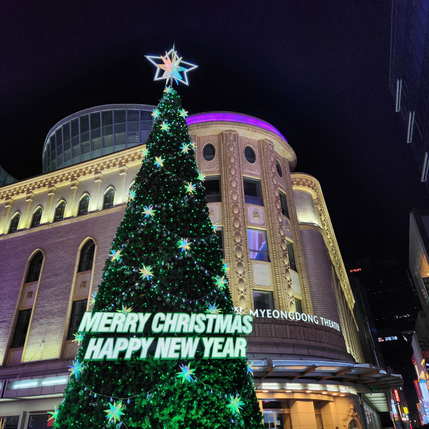 크리스마스 트리 사진