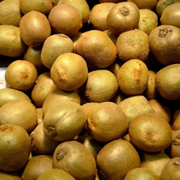 비타민c 효능 사진 29