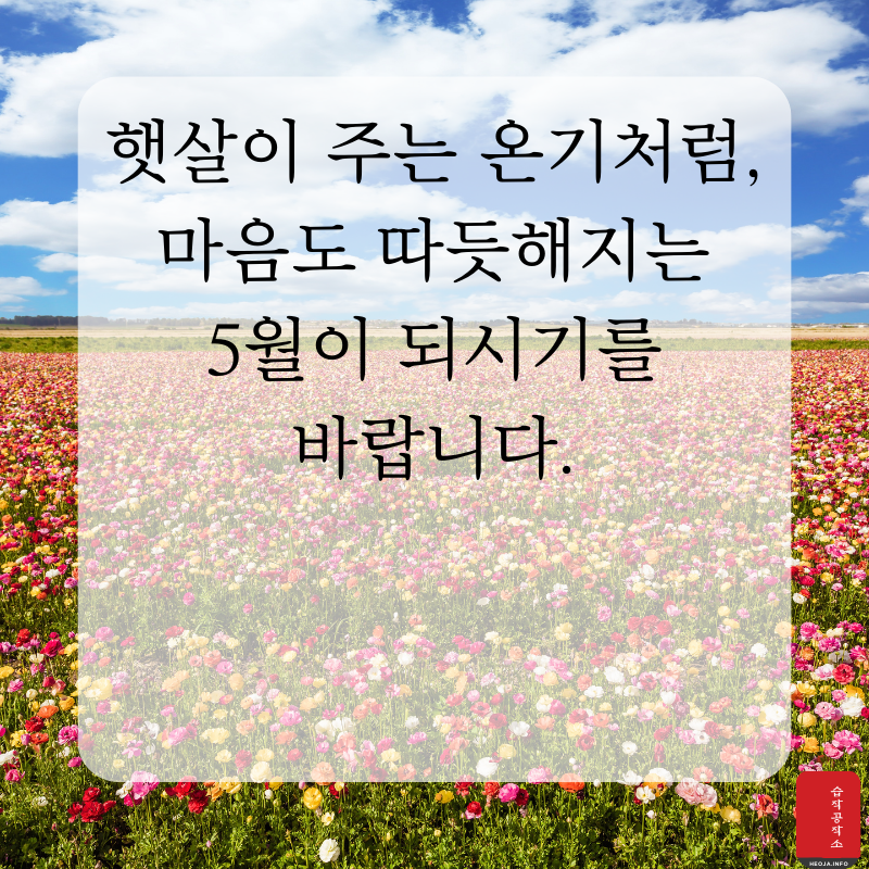 2025년 5월 인사말 문구 이미지 모음집