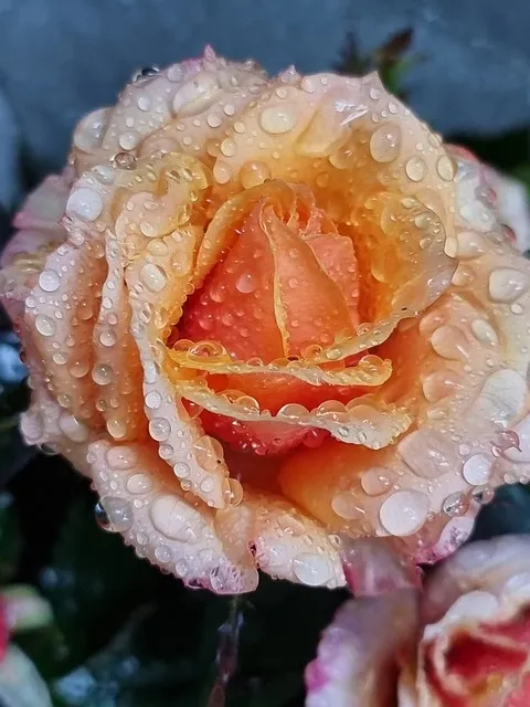 부산 가볼만한곳 베스트10 관광명소_6