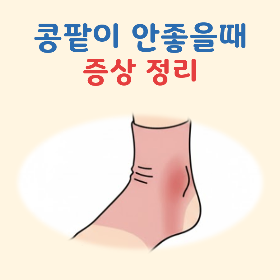 콩팥이 안좋을때 증상 대표 이미지