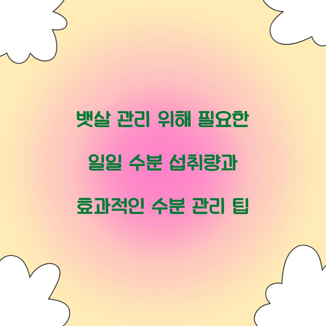뱃살 관리 위해 필요한 일일 수분 섭취량